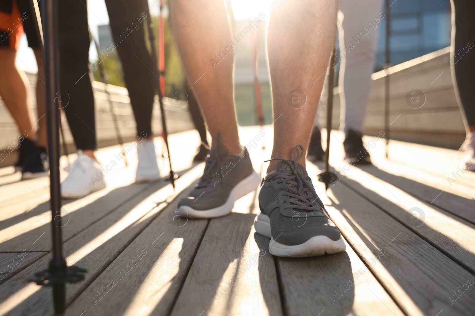 Photo of Group of people practicing Nordic walking with poles outdoors on sunny day, closeup