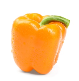 Photo of Wet ripe orange bell pepper on white background