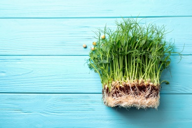 Photo of Fresh organic microgreen on light blue wooden table, top view. Space for text