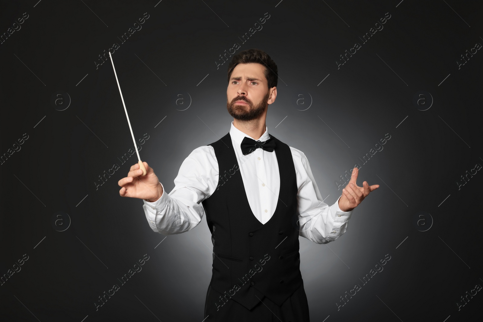 Photo of Professional conductor with baton on black background