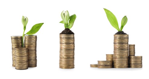 Set with stacks of coins and growing plants on white background, banner design. Successful investment