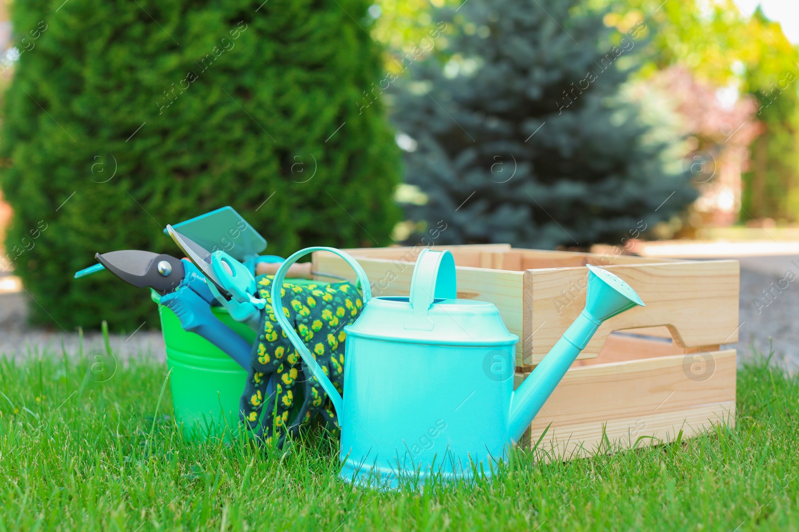 Photo of Set of gardening tools on green grass
