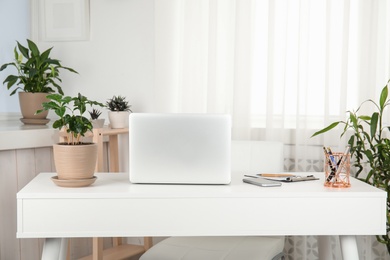 Photo of Houseplants and laptop on table in office interior