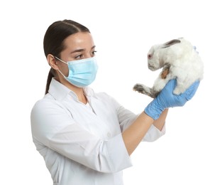 Photo of Scientist holding rabbit on white background. Animal testing concept