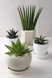 Photo of Beautiful succulent plants in pots on white wooden table