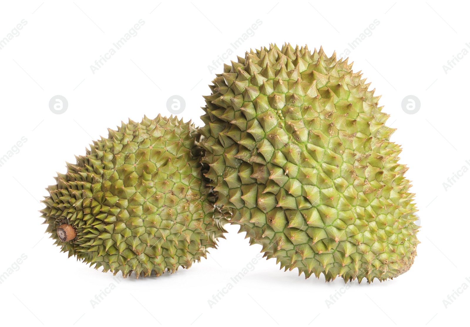 Photo of Whole ripe durian fruits on white background