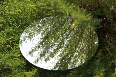 Photo of Round mirror among green plants on summer day