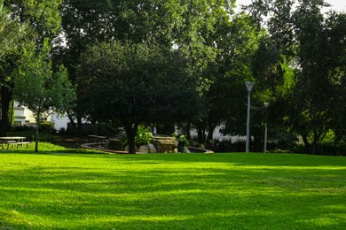 Photo of Beautiful view of green park with trees on sunny day