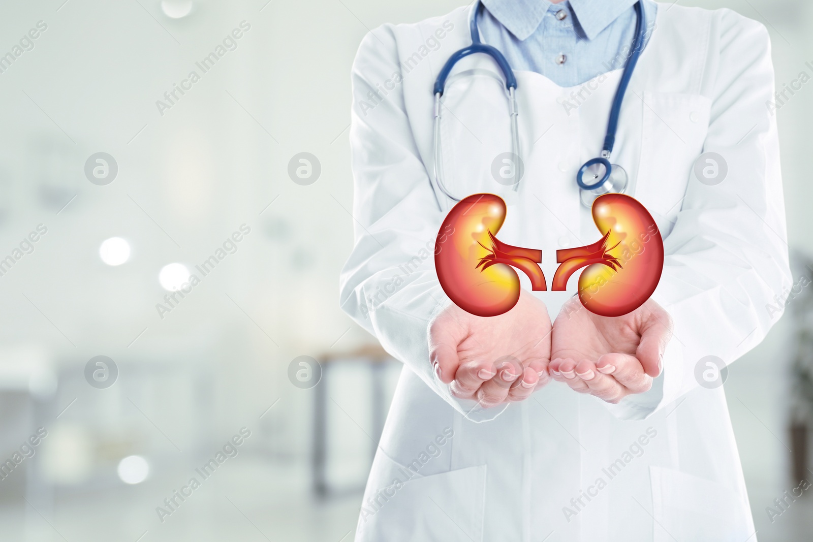 Image of Closeup view of doctor indoors and illustration of kidneys, space for text