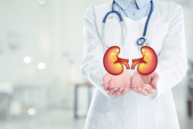 Closeup view of doctor indoors and illustration of kidneys, space for text