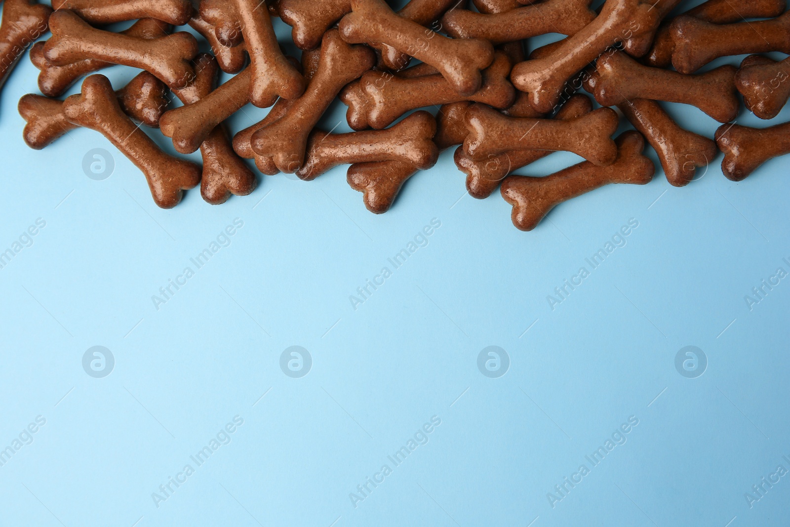 Photo of Bone shaped dog cookies on light blue background, flat lay. Space for text