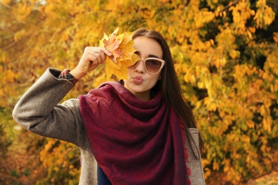 Photo of Young beautiful woman with leaves in park. Autumn walk