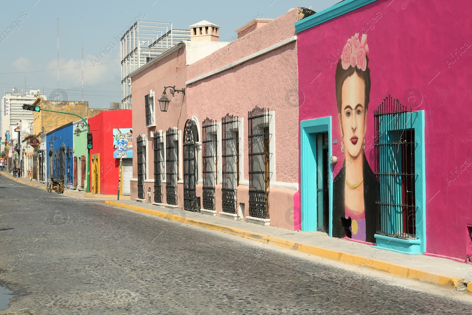 Photo of San Pedro Garza Garcia, Mexico - September 25, 2022: Frida Kahlo painted on building