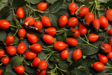 Photo of Ripe rose hip berries on green leaves, top view