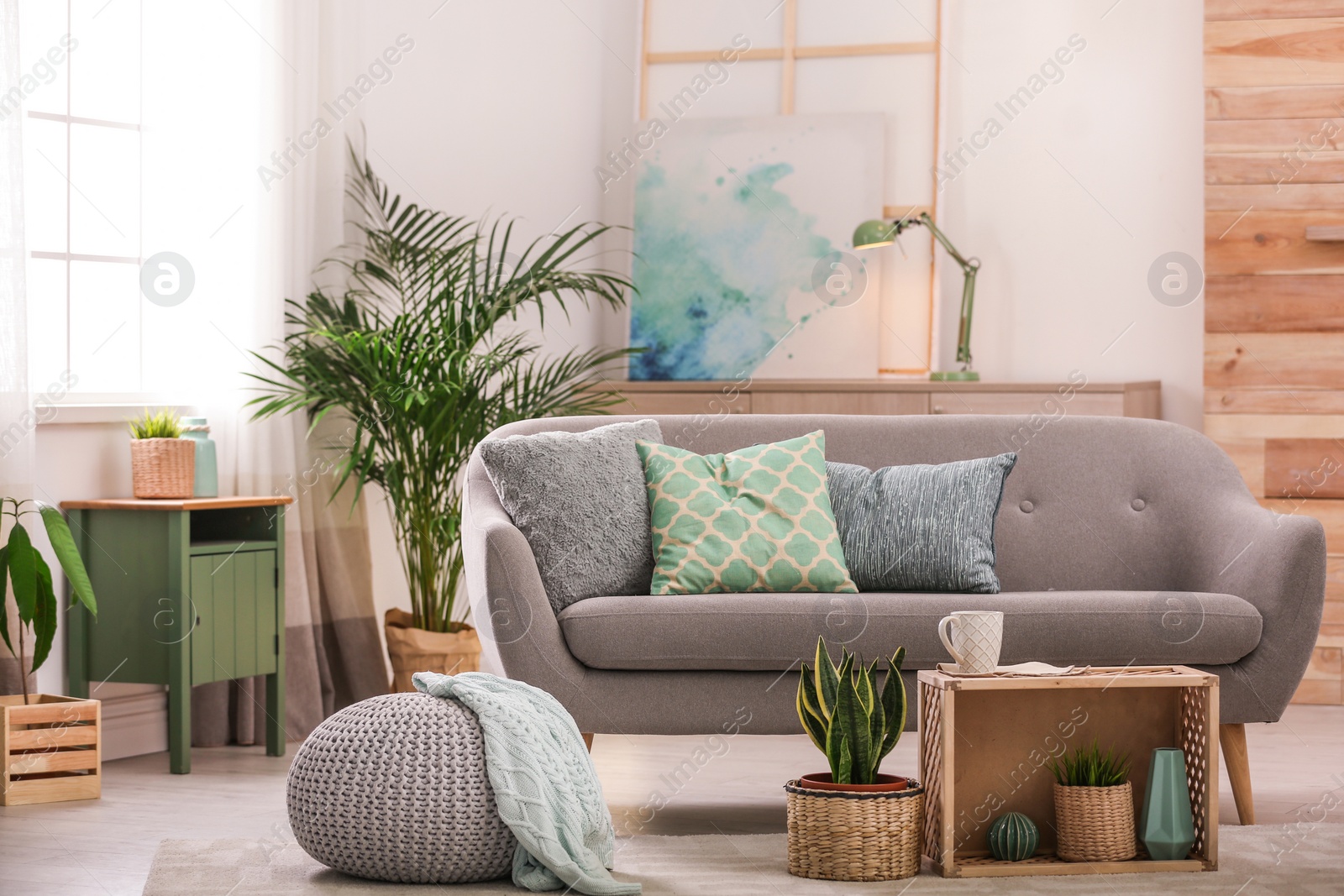 Photo of Living room interior with green houseplants and sofa