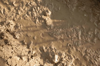 Photo of Ground mud as background, view from above