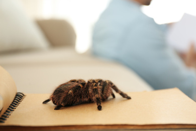 Striped knee tarantula on notebook indoors, closeup. Space for text