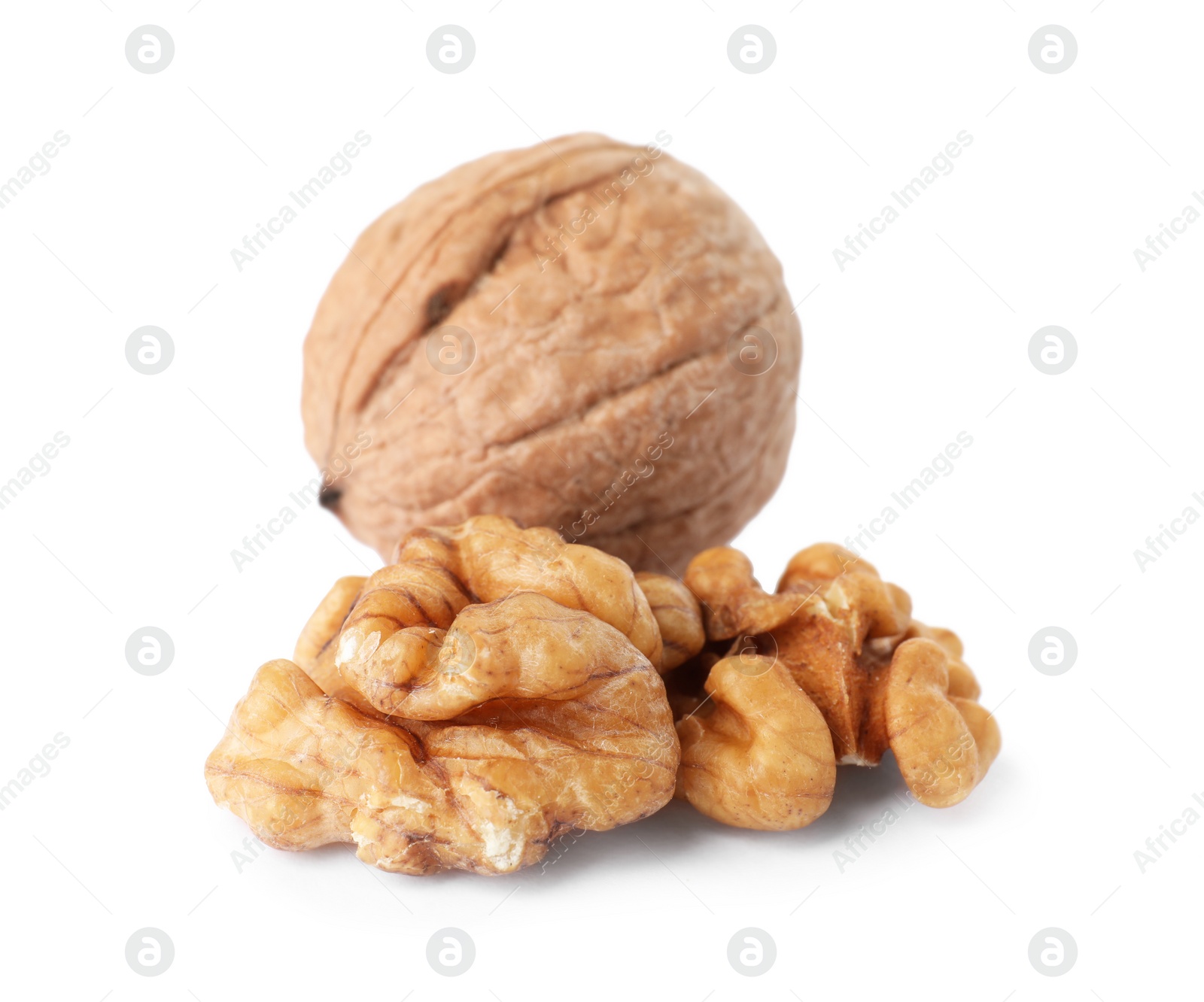 Photo of Walnut in shell and kernels on white background. Organic snack