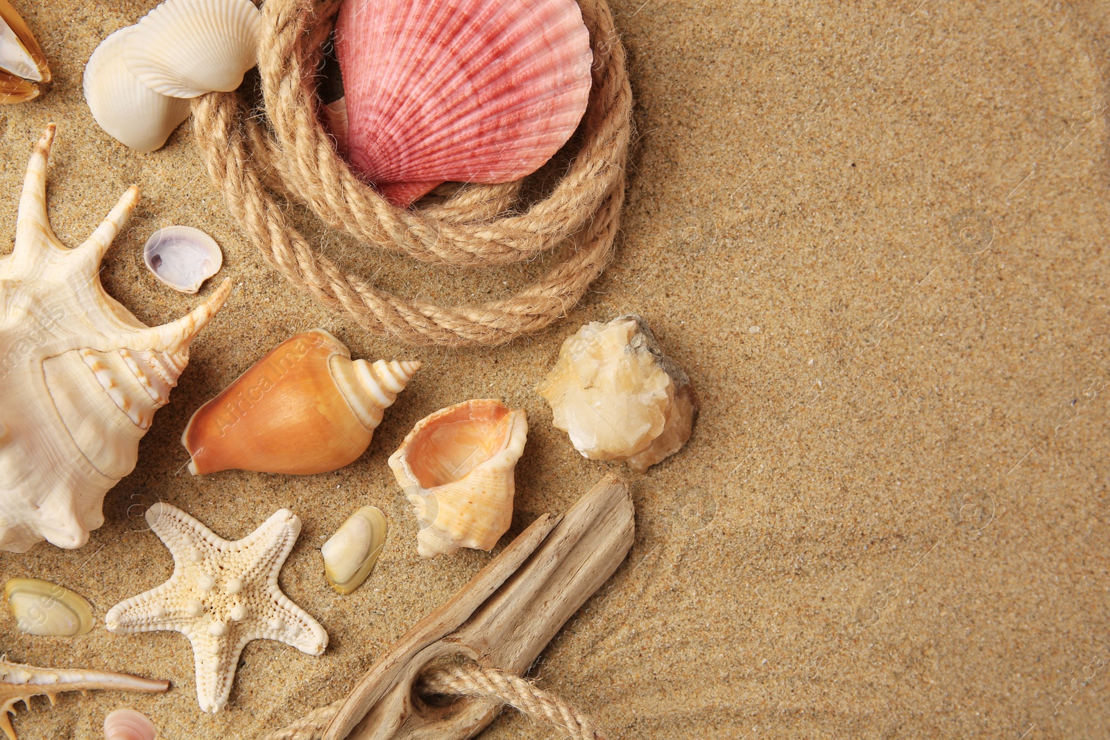 Photo of Beautiful sea star, shells and rope on sand, flat lay. Space for text