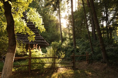 Old hut with straw roof behind fence in forest on sunny day