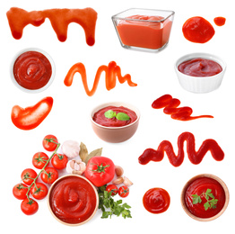 Image of Set of tasty tomato sauce on white background