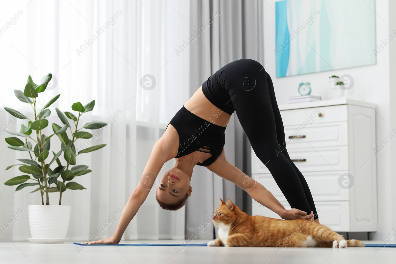 Photo of Beautiful woman with cute red cat practicing yoga on mat at home