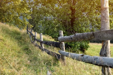 Photo of Old wooden fence and green grass outdoors on sunny day
