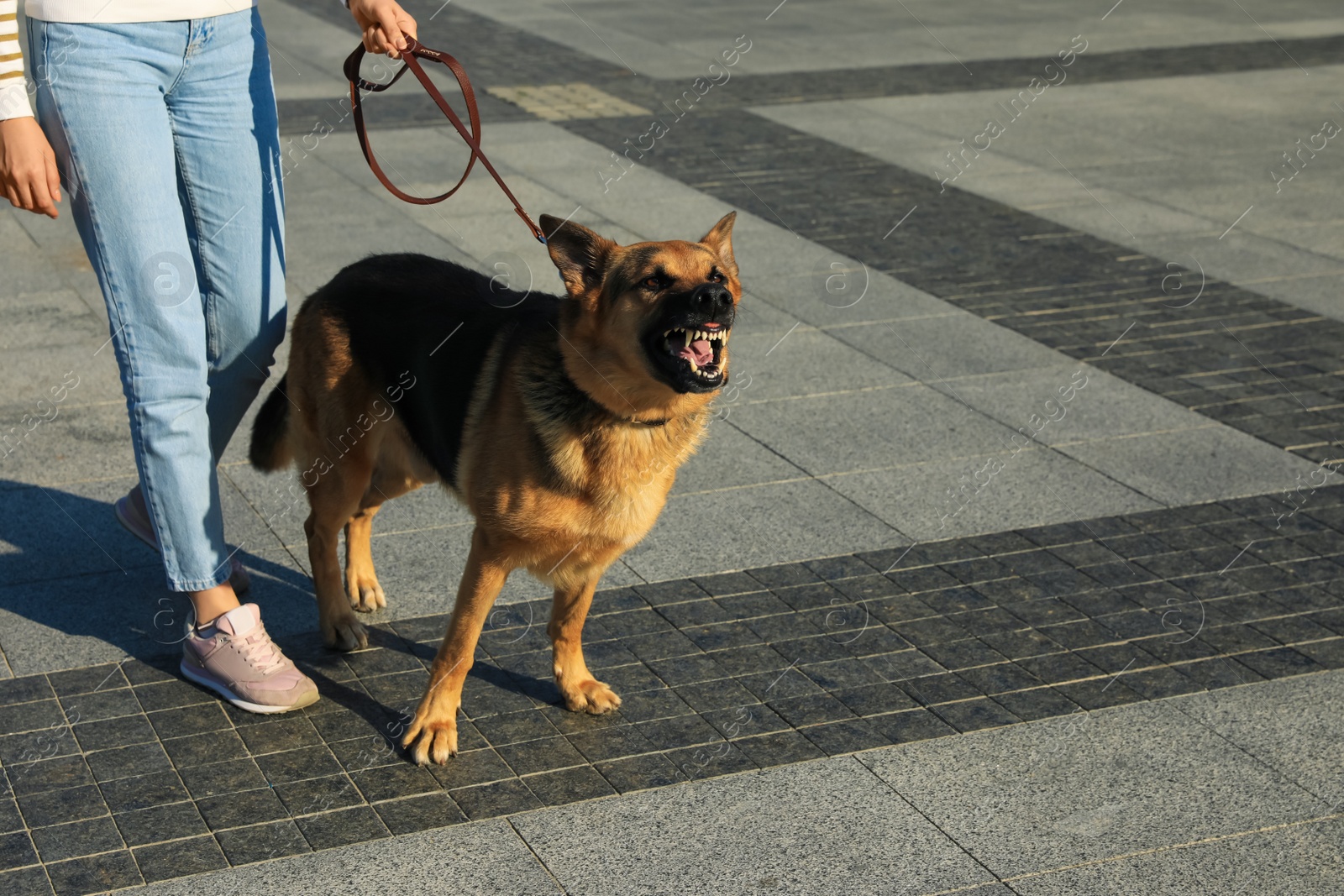 Photo of Woman with her aggressive dog walking outdoors, closeup