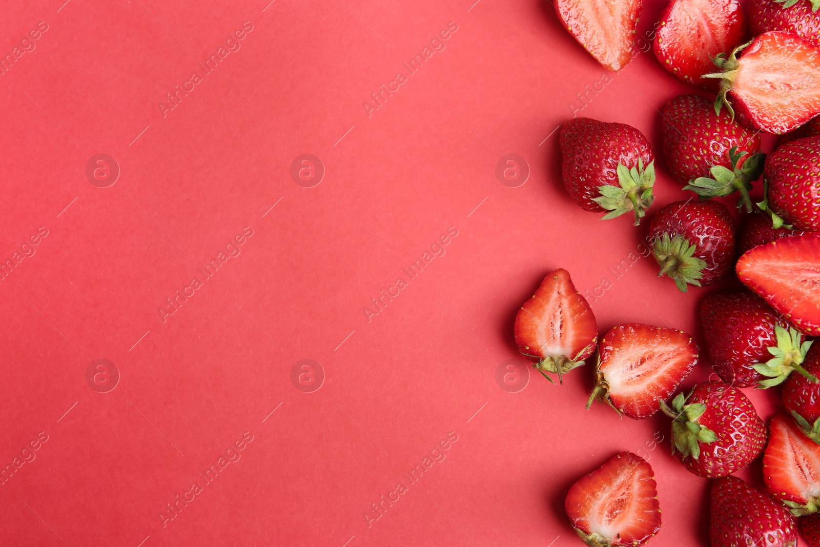 Photo of Tasty ripe strawberries on red background, flat lay. Space for text