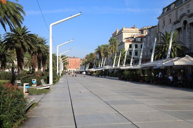 Beautiful view of city street with palm trees on sunny day