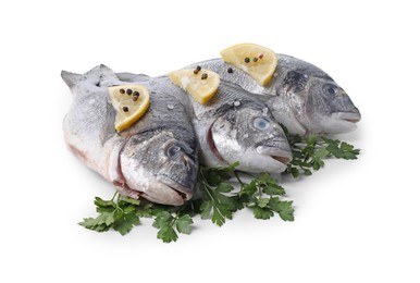 Raw dorado fish, parsley, lemon slices and peppercorns isolated on white