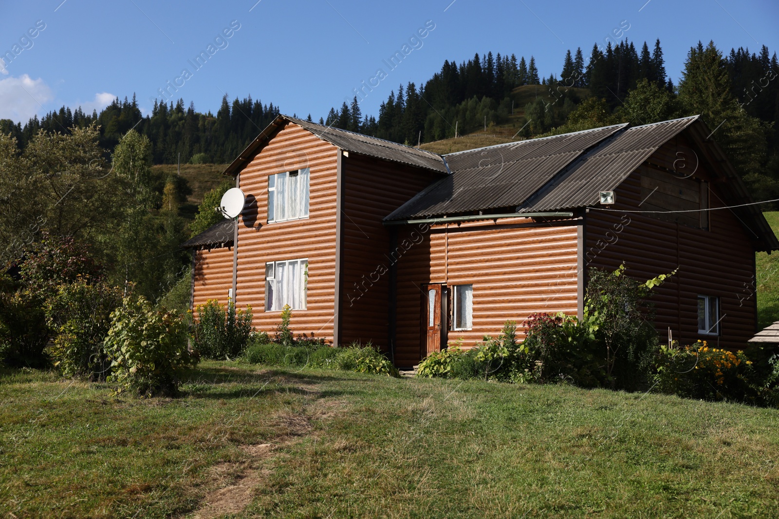 Photo of Modern house near forest on sunny day