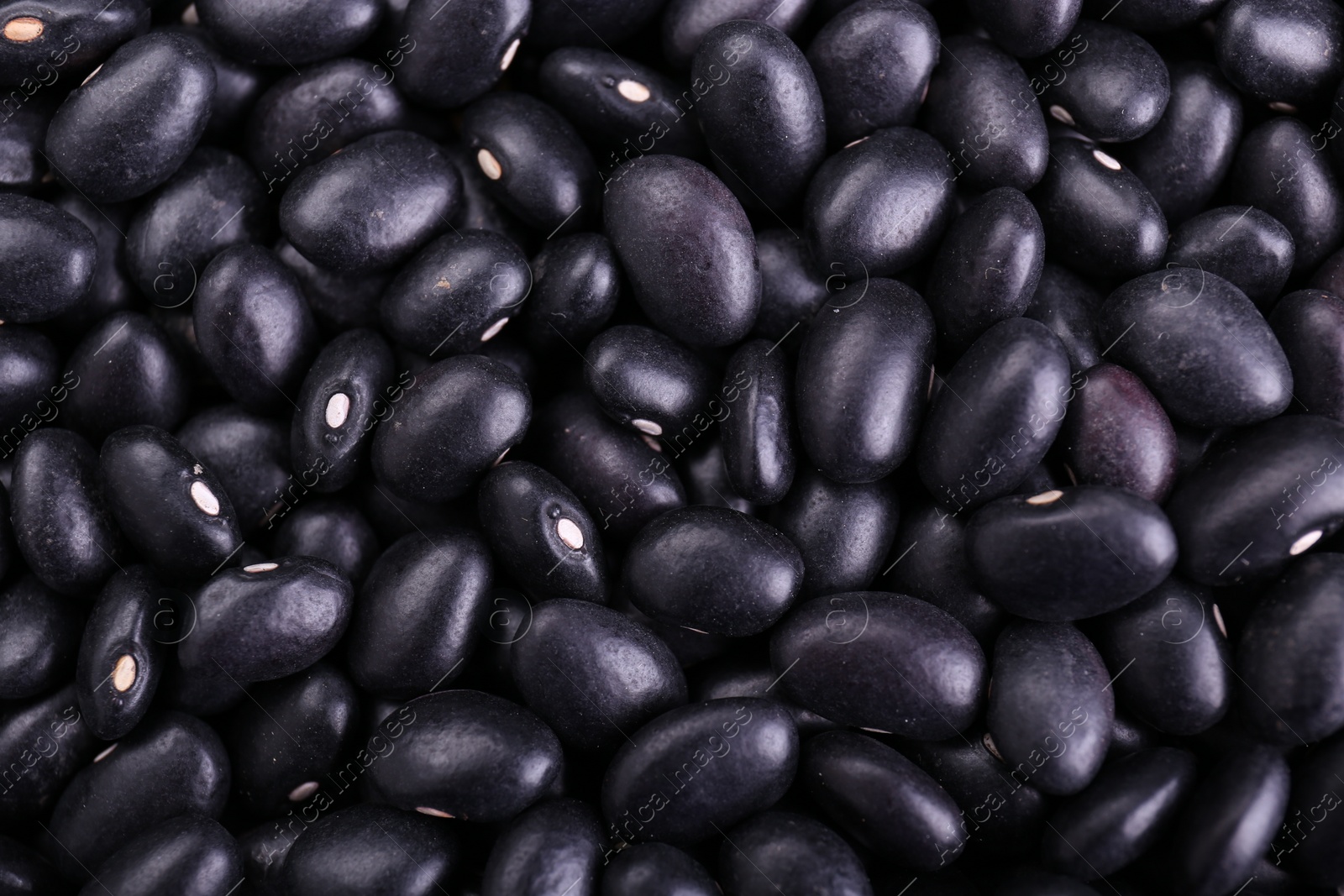 Photo of Many raw black beans as background, closeup