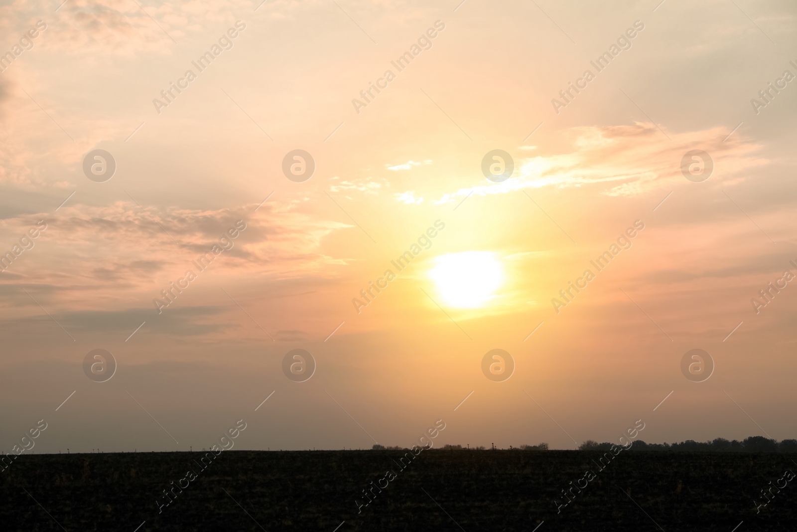 Photo of Picturesque view of beautiful field at sunrise. Autumn season