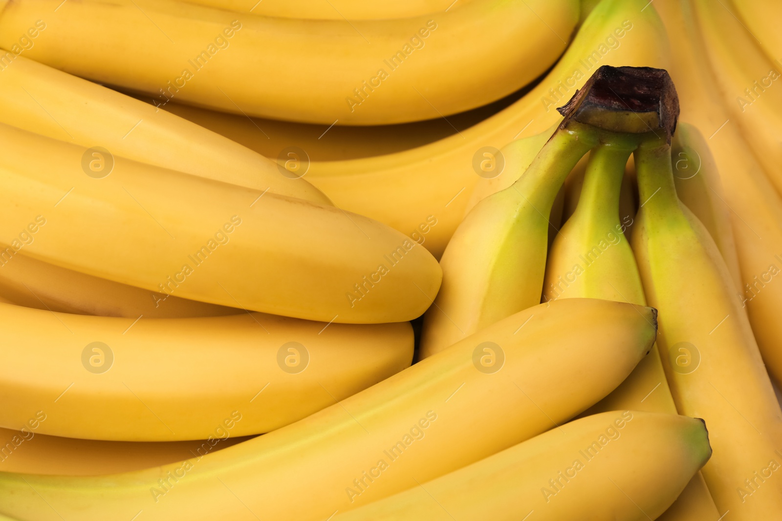 Photo of Closeup view of ripe yellow bananas as background