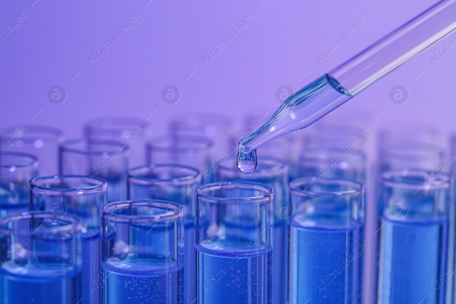 Photo of Dripping reagent into test tube on violet background, closeup with space for text. Laboratory analysis