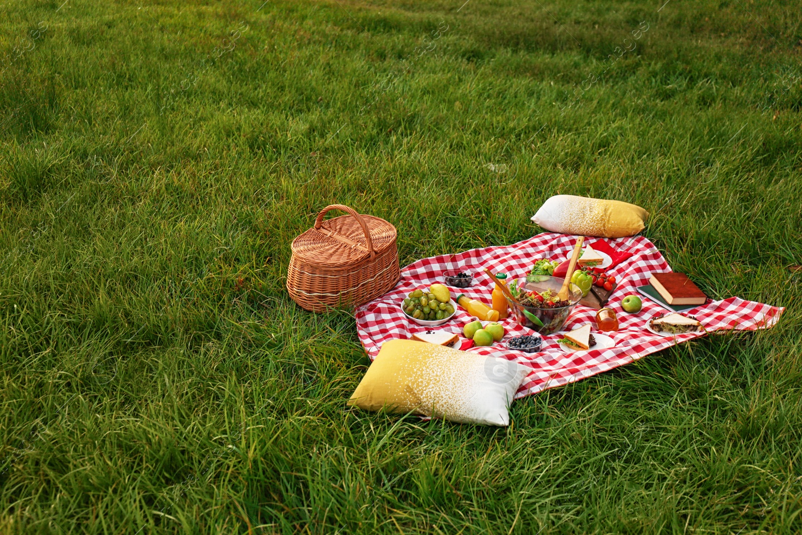 Photo of Picnic blanket with delicious snacks on grass in park