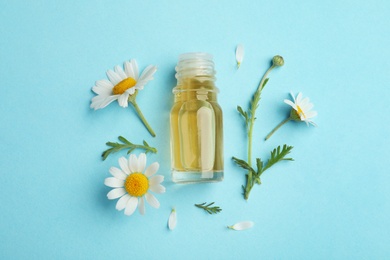 Flat lay composition with chamomile flowers and cosmetic bottle of essential oil on color background