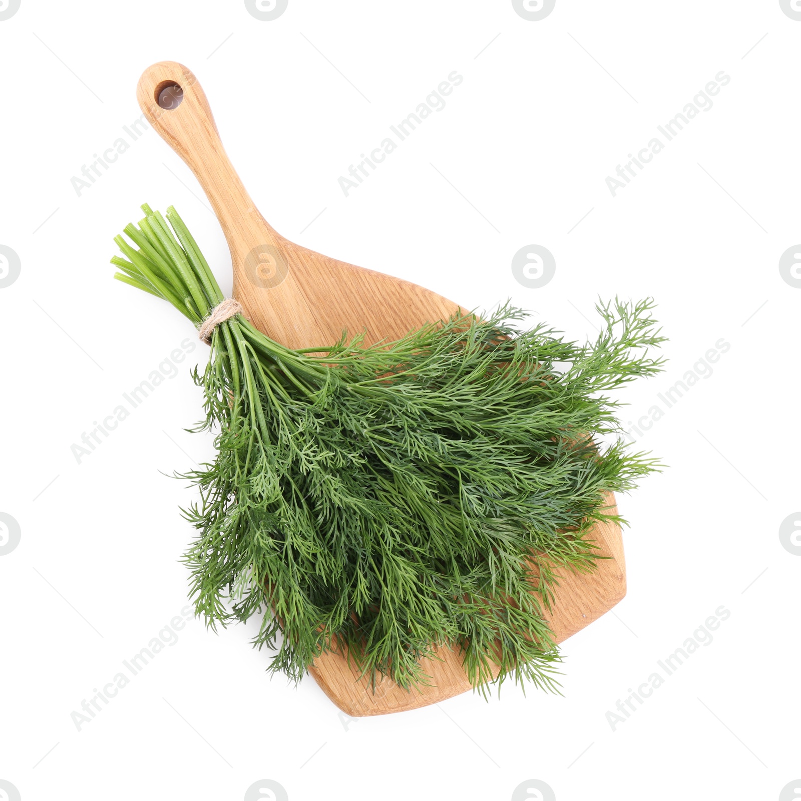 Photo of Board with fresh green dill isolated on white, top view