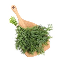 Photo of Board with fresh green dill isolated on white, top view