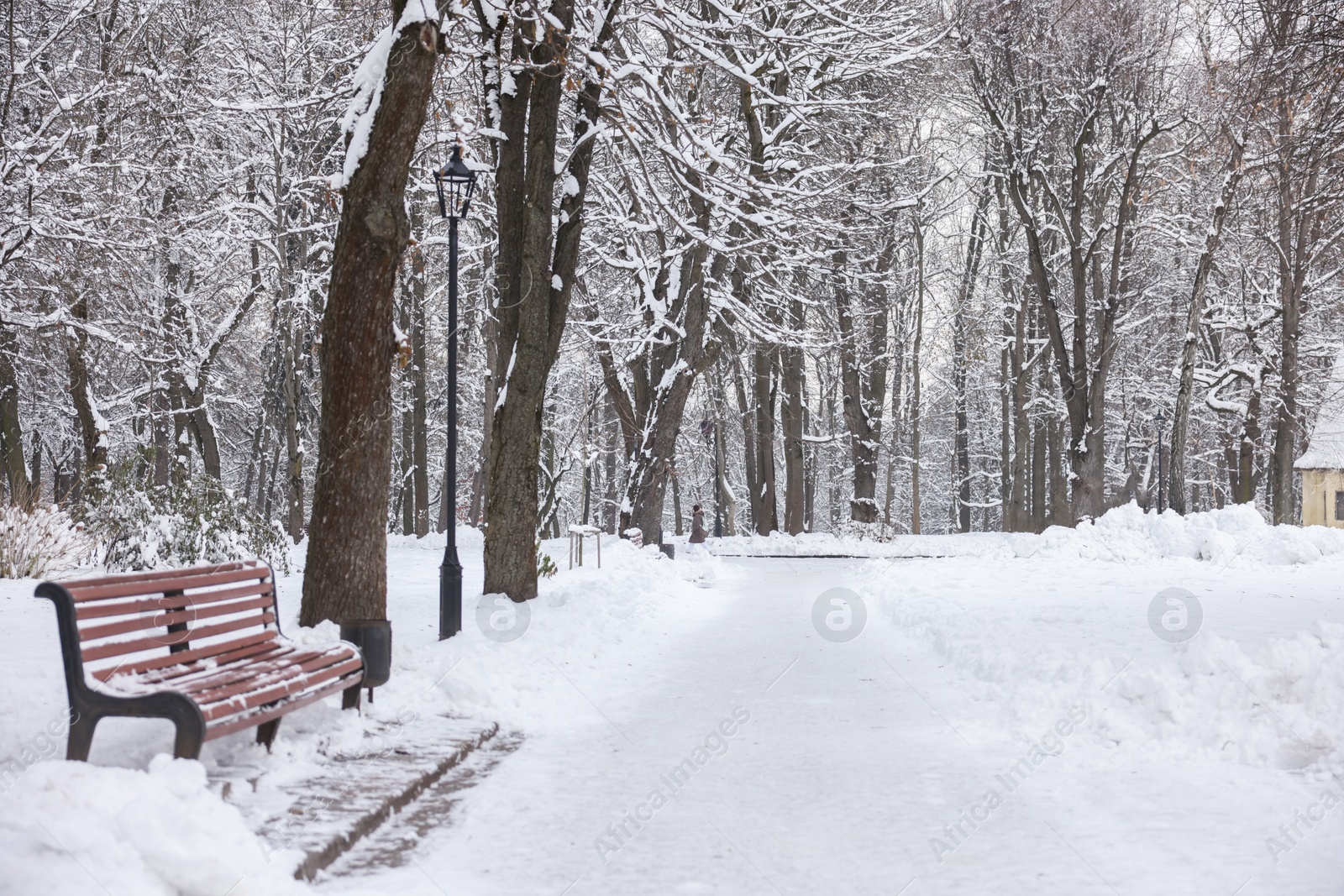 Photo of Trees and bench covered with snow in winter park