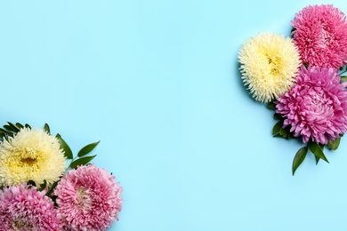 Photo of Beautiful asters and space for text on light blue background, flat lay. Autumn flowers