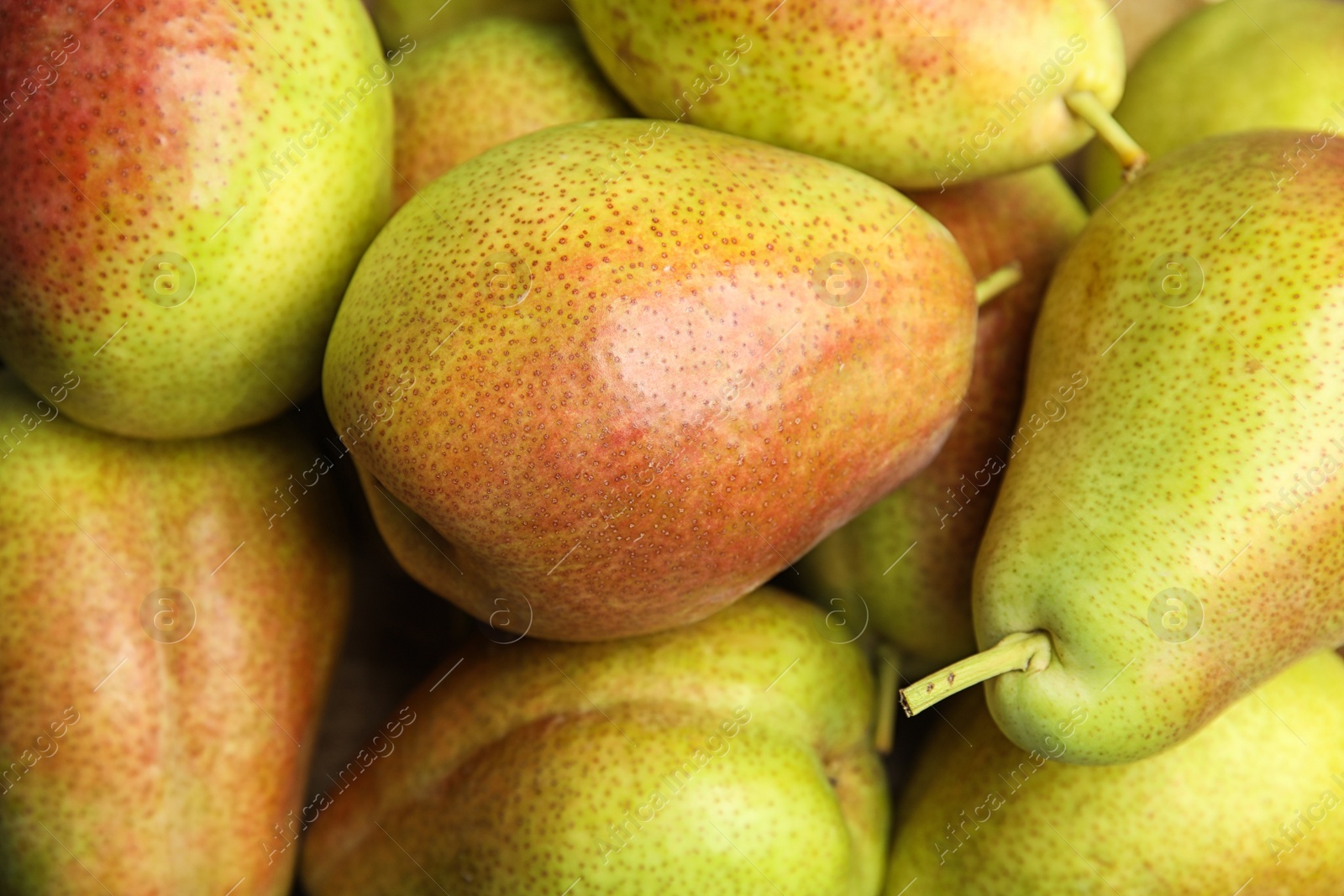 Photo of Many ripe juicy pears as background, closeup