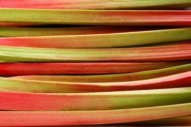 Photo of Many ripe rhubarb stalks as background, closeup