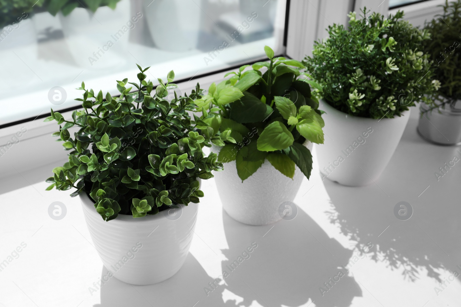 Photo of Artificial potted herbs on sunny day on windowsill indoors. Home decor