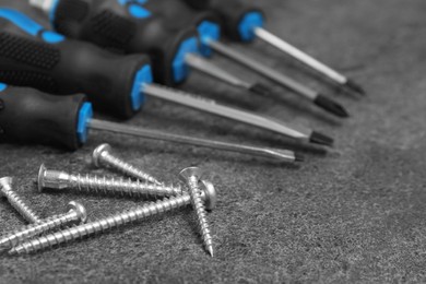 Set of screwdrivers and screws on grey table, closeup