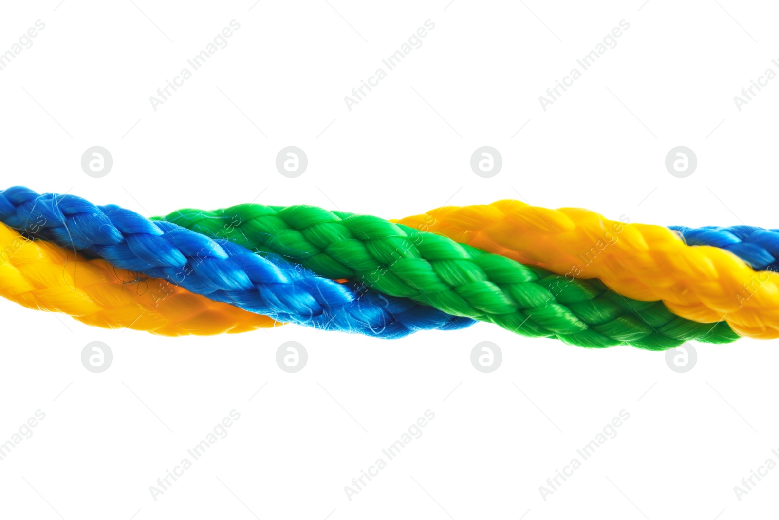 Photo of Twisted colorful ropes on white background. Unity concept