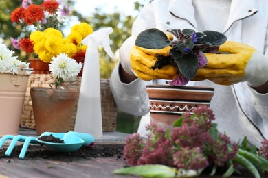 Photo of Woman wearing gardening gloves transplanting flower into pot at wooden table outdoors, closeup