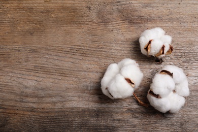 Photo of Flat lay composition with cotton flowers on wooden background. Space for text