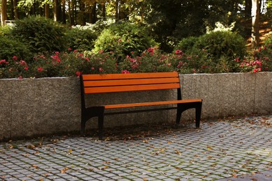Wooden bench in beautiful park on sunny day